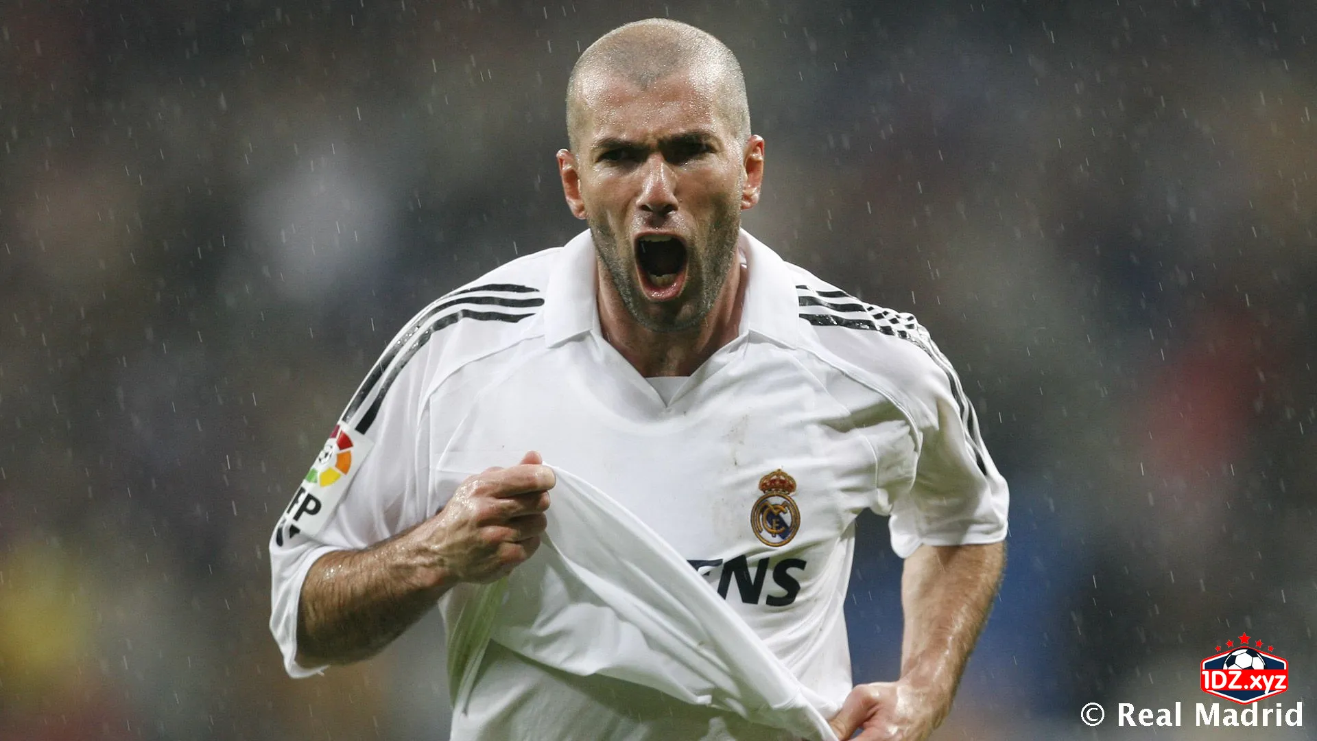 Cầu thủ hay nhất thế giới: Zidane